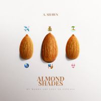 Almond Shades A Shawn Song Download Mp3