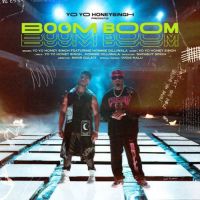 Boom Boom Yo Yo Honey Singh Song Download Mp3