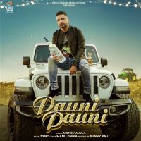Pauni Pauni Money Aujla Song Download Mp3